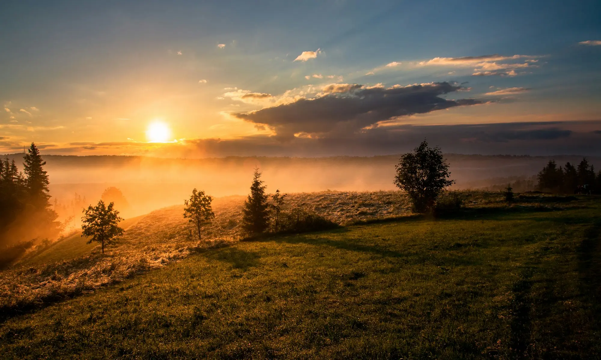 Sunrise over an open meadow, used as illustrative context for 6071 Fourth Line detached homes in Milton. This is not a Sundial Homes rendering.